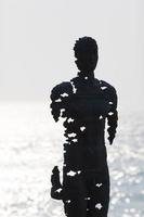 Nuovo Galles del Sud, Australia, 2020 - sagoma di una statua di fronte all'oceano foto