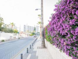 sfocato movimento di moderno orizzonte e urbano strada foto