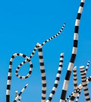 bondi beach, australia, 2020 - scultura a strisce durante il giorno foto