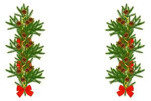 pino albero rami con coni e rosso nastro arco decorazione isolato su bianca. foto
