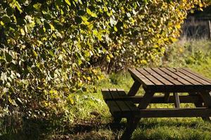 riposo posto nel parco, picnic tavolo nel tranquillo, calmo circostante foto