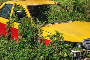 vecchio auto dentro il boschetti di erba foto