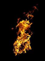 fiamme vere e calde bruciano su uno sfondo nero. foto