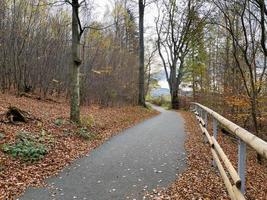 Visualizza di strada nel colorato foresta nel autunno. bellissimo paesaggio con carreggiata, rosso e arancia le foglie nel autunno.