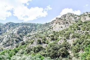 montagne e alberi foto