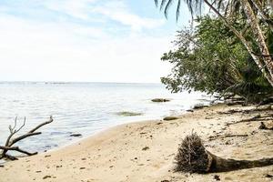 spiaggia durante il giorno foto