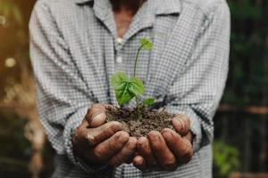 uomo mani afferrando terra con un' pianta.il concetto di agricoltura e attività commerciale crescita. foto