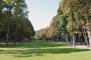 verde e arancia alberi nel bellissimo parco. floreale e naturale autunno paesaggio foto