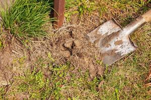 vecchio sporco pala nel il terra nel il giardino. giardino utensili e attrezzatura. il concetto di giardinaggio nel estate o primavera. foto