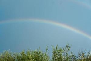 un' offuscare arcobaleno nel il cielo sopra il alberi foto