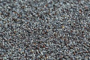 macro di semi di papavero essiccati come sfondo. foto
