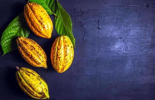 superiore Visualizza fresco maturo giallo cacao baccello e verde foglia cacao su nero sfondo foto