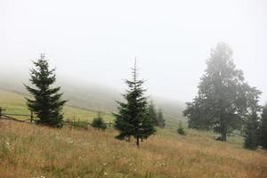 prato autunnale con una vecchia staccionata in legno in una fattoria vicino, nelle montagne fumose in una giornata nebbiosa. destinazione di viaggio panoramica, montagne dei Carpazi foto