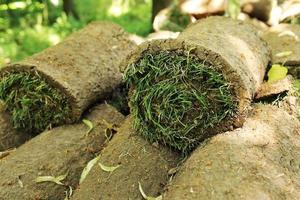 primo piano di tappeti in erba all'aperto con motivo verde e marrone. prato di erba verde e terreno viene arrotolato in rotoli, il tappeto erboso in una pila è pronto per l'inverdimento. foto