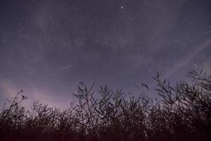 affascinante latteo modo con un' campo nel il primo piano. paesaggio nel un' caldo estate notte foto