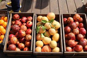 frutta e verdura sono vendute in un bazar in Israele. foto