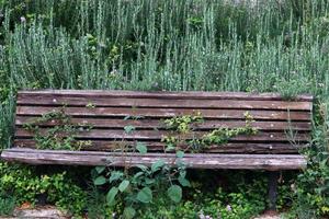 panchina per riposo nel un' città parco nel Israele. foto