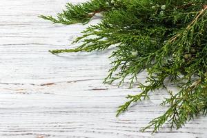 verde ginepro ramoscello con verde coni posare su di legno tavolo foto