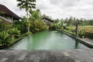 un' ritratto di un' nuoto piscina accanto riso campo, alberi, e plats nel un' ricorrere nel Ubud, bali foto