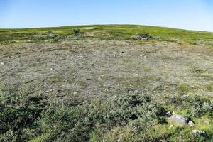 rurale paesaggio nel Svezia foto