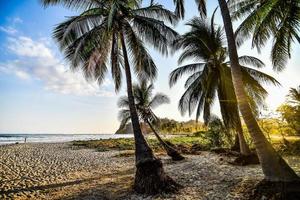 vista della spiaggia foto