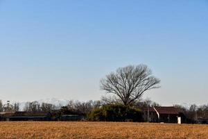 Visualizza di il campo foto