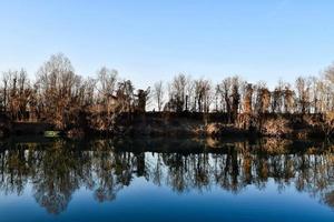 alberi su il riva foto