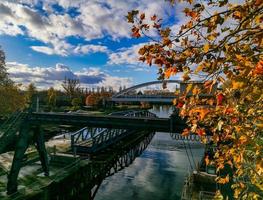 autunno colori siamo luminosa e succoso. sobborgi di Strasburgo, reno. foto