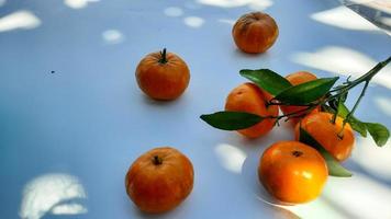 alto angolo, santang arancia frutta con stelo e le foglie isolato su bianca sfondo foto