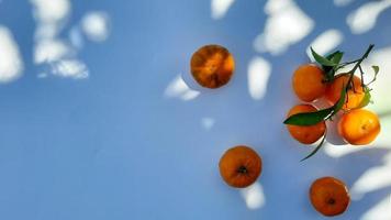 piatto posizione, mandarino frutta con stelo e le foglie isolato su bianca sfondo foto