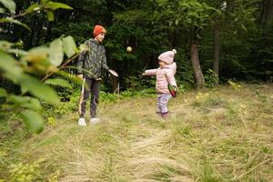 fratello con il suo poco sorella giocare nel autunno foresta catturare e lanciare palla gioco. foto