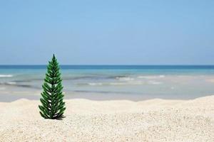 Natale albero su il bianca sabbia spiaggia su il sfondo di blu mare e cielo su un' soleggiato giorno, con copia spazio. foto