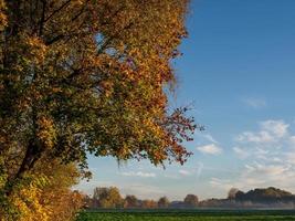 autunno tempo a un' fiume nel Germania foto