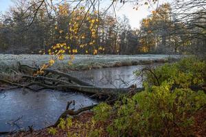 autunno a un' castello nel westfalia foto