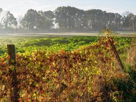 autunno tempo a un' fiume nel Germania foto