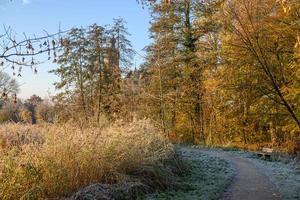 autunno a un' castello nel westfalia foto