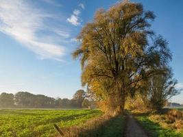 autunno tempo a un' fiume nel Germania foto