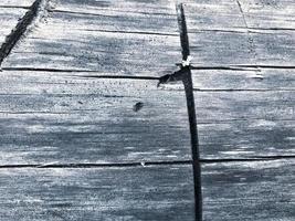 legna struttura. legna con un' dritto tagliare, buco. grigio, umido e vecchio Di legno. il albero coperto con muschio è vecchio. naturale sfondo. grigio legna struttura foto