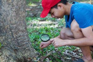 un asiatico ragazzo usi un' ingrandimento bicchiere per esaminare il creature sotto il alberi nel un' Comunità foresta per studia ecosistemi su terra. concetto apprendimento scienza al di fuori il aula foto