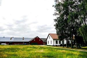 paesaggio nel Svezia, Europa foto