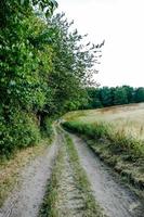 paesaggio nel Svezia, Europa foto