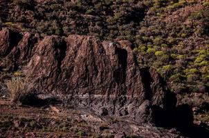 roccioso paesaggio su il canarino isole foto