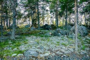 paesaggio nel Svezia, Europa foto