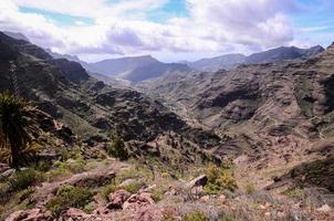 roccioso paesaggio su il canarino isole foto