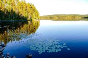 paesaggio nel Svezia, Europa foto