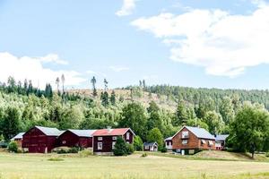 paesaggio nel Svezia, Europa foto