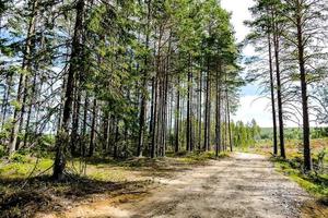 paesaggio nel Svezia, Europa foto