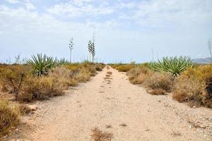 vista del paesaggio del deserto foto