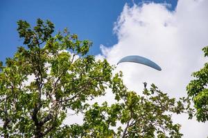 paracadutista volante su il cielo al di sopra di il foresta foto