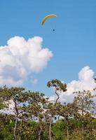 paracadutista volante su il cielo al di sopra di il foresta foto